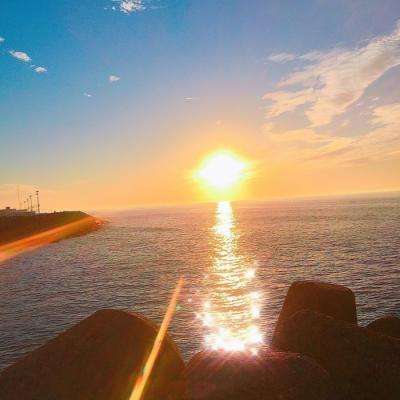 万博滚球软件截图