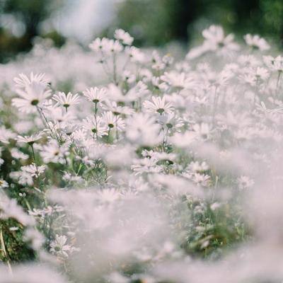 云开·全站APP登录入口