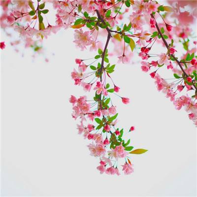 单机的打鱼游戏