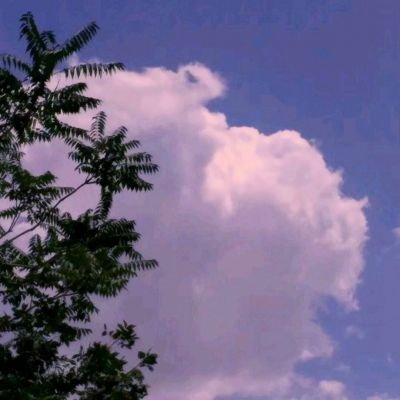 皇冠·app(中国)下载官方版